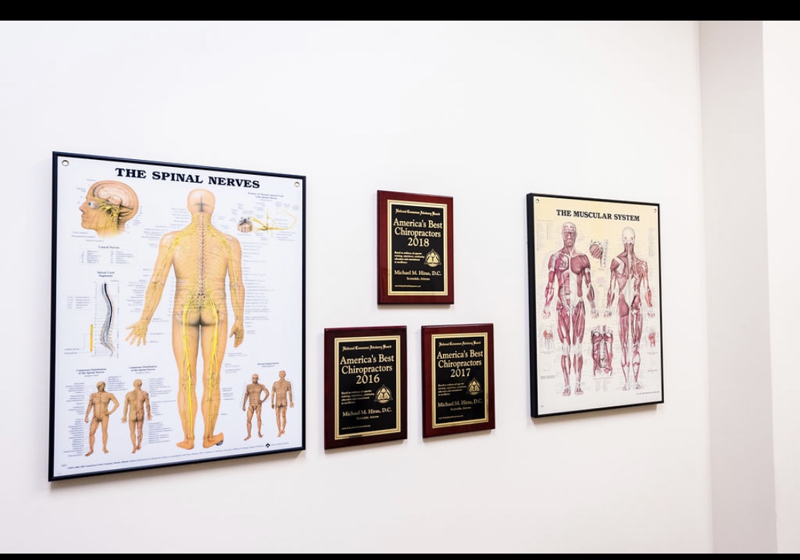 Diagrams of the spinal nerves and muscular system hanged on the wall